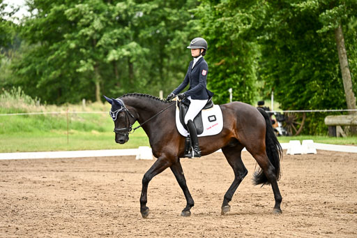Goldene Schärpe Pferfde in Löningen 2026 | 12062026Dressur B _0860 