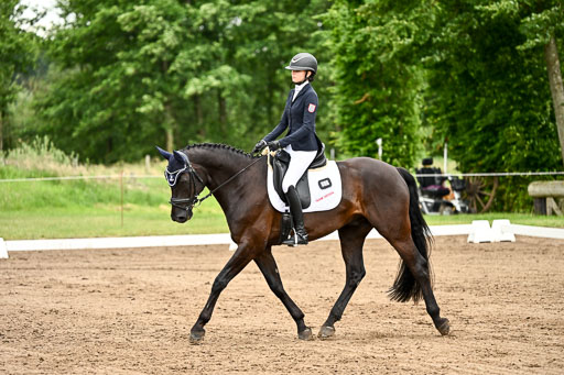 Goldene Schärpe Pferfde in Löningen 2026 | 12062026Dressur B _0861 