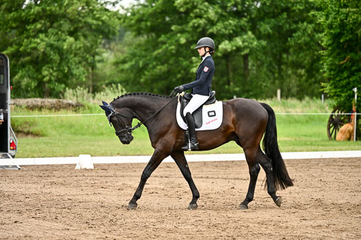 Goldene Schärpe Pferfde in Löningen 2026 | 12062026Dressur B _0862 
