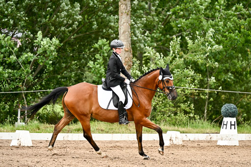 Goldene Schärpe Pferfde in Löningen 2026 | 12062026Dressur B _0863 