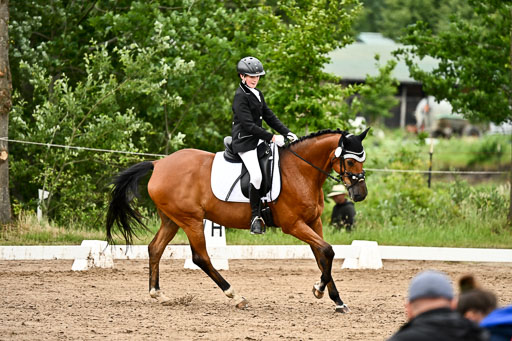 Goldene Schärpe Pferfde in Löningen 2026 | 12062026Dressur B _0864 