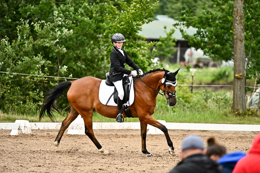 Goldene Schärpe Pferfde in Löningen 2026 | 12062026Dressur B _0865 