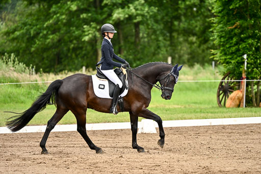 Goldene Schärpe Pferfde in Löningen 2026 | 12062026Dressur B _0866 