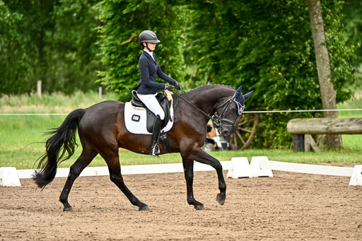 Goldene Schärpe Pferfde in Löningen 2026 | 12062026Dressur B _0867 