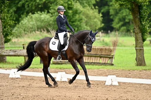 Goldene Schärpe Pferfde in Löningen 2026 | 12062026Dressur B _0869 