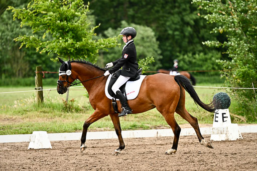 Goldene Schärpe Pferfde in Löningen 2026 | 12062026Dressur B _0870 