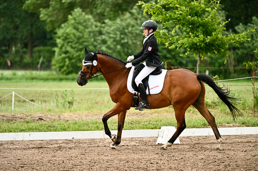Goldene Schärpe Pferfde in Löningen 2026 | 12062026Dressur B _0871 