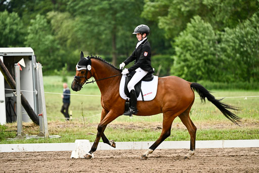 Goldene Schärpe Pferfde in Löningen 2026 | 12062026Dressur B _0872 