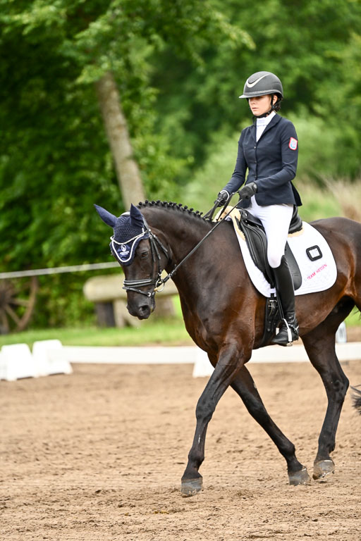 Goldene Schärpe Pferfde in Löningen 2026 | 12062026Dressur B _0873 