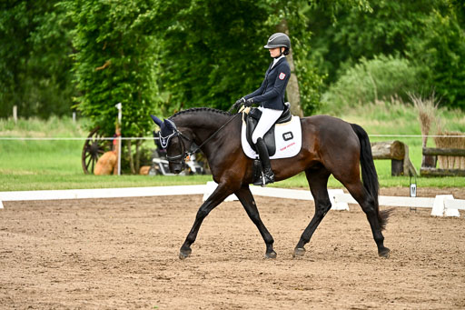 Goldene Schärpe Pferfde in Löningen 2026 | 12062026Dressur B _0874 