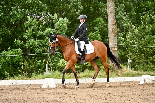 Goldene Schärpe Pferfde in Löningen 2026 | 12062026Dressur B _0875 