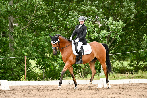 Goldene Schärpe Pferfde in Löningen 2026 | 12062026Dressur B _0876 