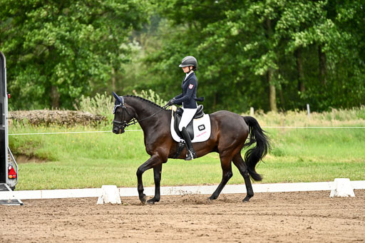 Goldene Schärpe Pferfde in Löningen 2026 | 12062026Dressur B _0877 