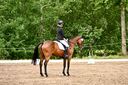 Goldene Schärpe Pferfde in Löningen 2026 | 12062026Dressur B _0878 