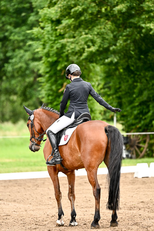 Goldene Schärpe Pferfde in Löningen 2026 | 12062026Dressur B _0880 