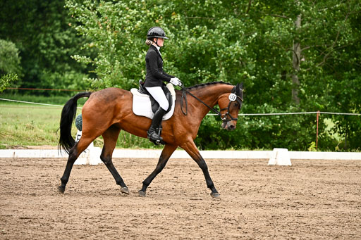 Goldene Schärpe Pferfde in Löningen 2026 | 12062026Dressur B _0881 