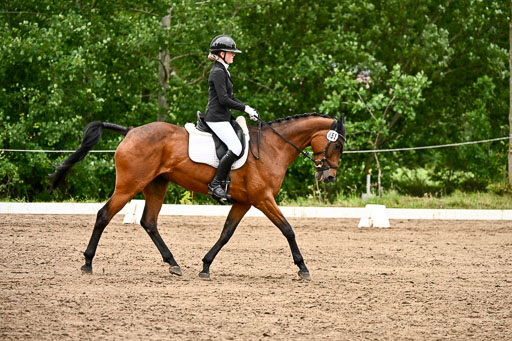 Goldene Schärpe Pferfde in Löningen 2026 | 12062026Dressur B _0882 