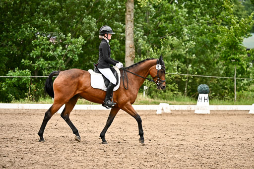 Goldene Schärpe Pferfde in Löningen 2026 | 12062026Dressur B _0883 