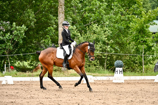 Goldene Schärpe Pferfde in Löningen 2026 | 12062026Dressur B _0885 