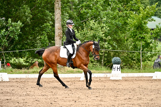 Goldene Schärpe Pferfde in Löningen 2026 | 12062026Dressur B _0886 