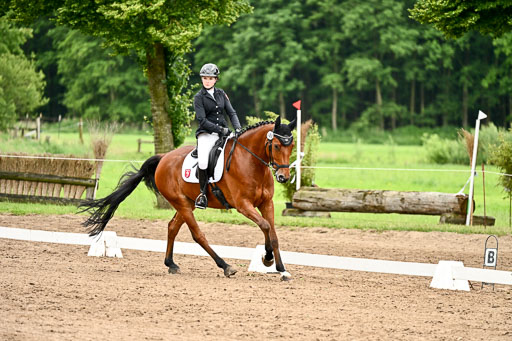 Goldene Schärpe Pferfde in Löningen 2026 | 12062026Dressur B _0889 