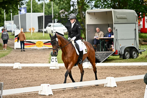 Goldene Schärpe Pferfde in Löningen 2026 | 12062026Dressur B _0890 