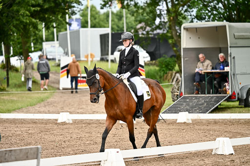 Goldene Schärpe Pferfde in Löningen 2026 | 12062026Dressur B _0891 