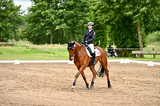 Goldene Schärpe Pferfde in Löningen 2026 | 12062026Dressur B _0893 