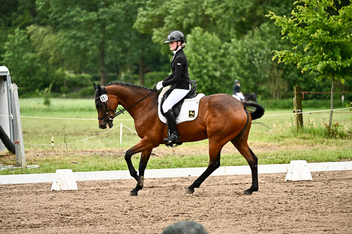 Goldene Schärpe Pferfde in Löningen 2026 | 12062026Dressur B _0894 