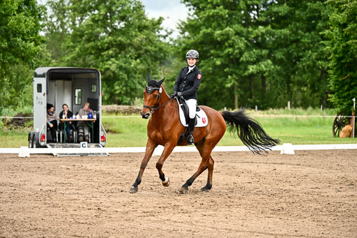 Goldene Schärpe Pferfde in Löningen 2026 | 12062026Dressur B _0895 