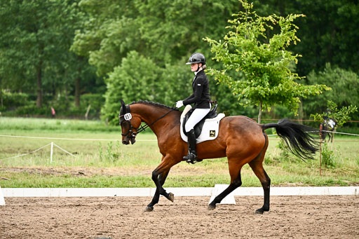 Goldene Schärpe Pferfde in Löningen 2026 | 12062026Dressur B _0896 