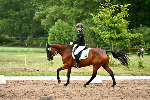 Goldene Schärpe Pferfde in Löningen 2026 | 12062026Dressur B _0897 