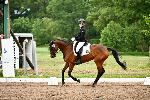Goldene Schärpe Pferfde in Löningen 2026 | 12062026Dressur B _0898 