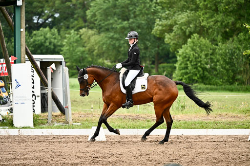 Goldene Schärpe Pferfde in Löningen 2026 | 12062026Dressur B _0899 