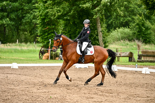 Goldene Schärpe Pferfde in Löningen 2026 | 12062026Dressur B _0901 