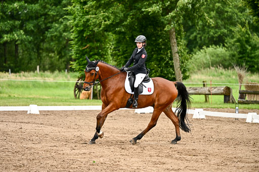 Goldene Schärpe Pferfde in Löningen 2026 | 12062026Dressur B _0902 