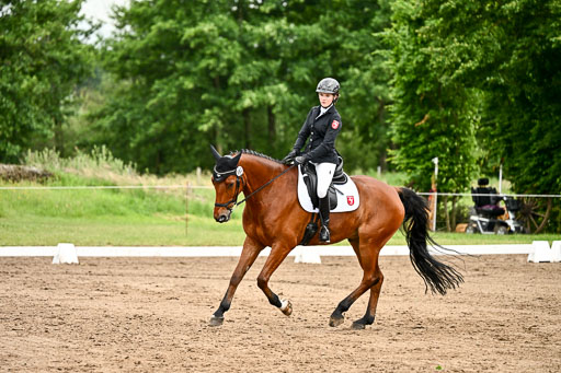 Goldene Schärpe Pferfde in Löningen 2026 | 12062026Dressur B _0903 