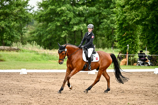 Goldene Schärpe Pferfde in Löningen 2026 | 12062026Dressur B _0904 
