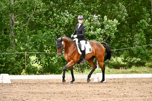 Goldene Schärpe Pferfde in Löningen 2026 | 12062026Dressur B _0905 
