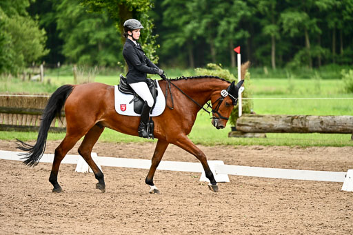 Goldene Schärpe Pferfde in Löningen 2026 | 12062026Dressur B _0906 