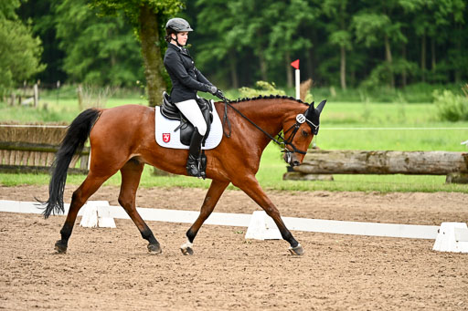 Goldene Schärpe Pferfde in Löningen 2026 | 12062026Dressur B _0907 