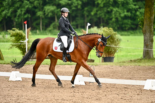 Goldene Schärpe Pferfde in Löningen 2026 | 12062026Dressur B _0908 