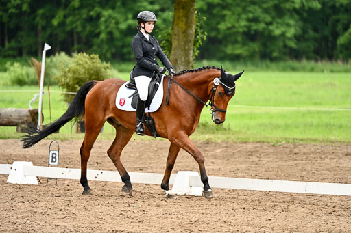Goldene Schärpe Pferfde in Löningen 2026 | 12062026Dressur B _0909 