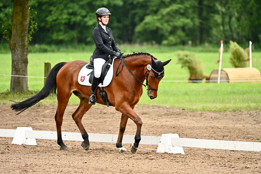 Goldene Schärpe Pferfde in Löningen 2026 | 12062026Dressur B _0910 