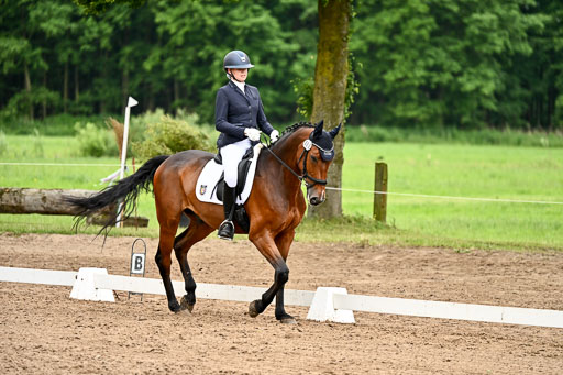 Goldene Schärpe Pferfde in Löningen 2026 | 12062026Dressur B _0914 