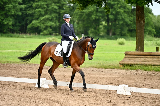 Goldene Schärpe Pferfde in Löningen 2026 | 12062026Dressur B _0915 
