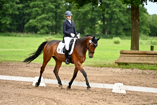 Goldene Schärpe Pferfde in Löningen 2026 | 12062026Dressur B _0916 
