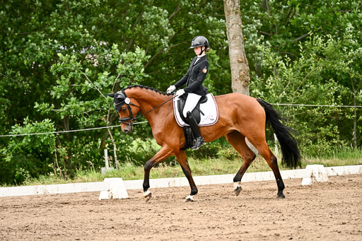 Goldene Schärpe Pferfde in Löningen 2026 | 12062026Dressur B _0917 