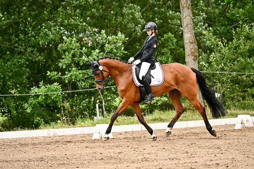 Goldene Schärpe Pferfde in Löningen 2026 | 12062026Dressur B _0918 