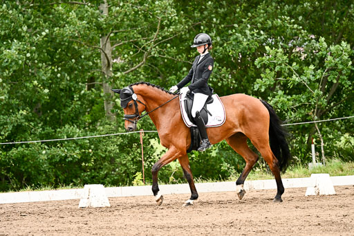 Goldene Schärpe Pferfde in Löningen 2026 | 12062026Dressur B _0919 